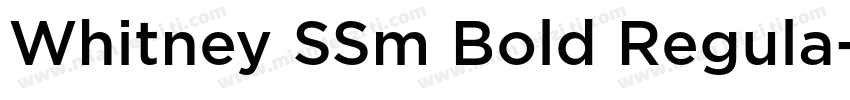 Whitney SSm Bold Regula字体转换